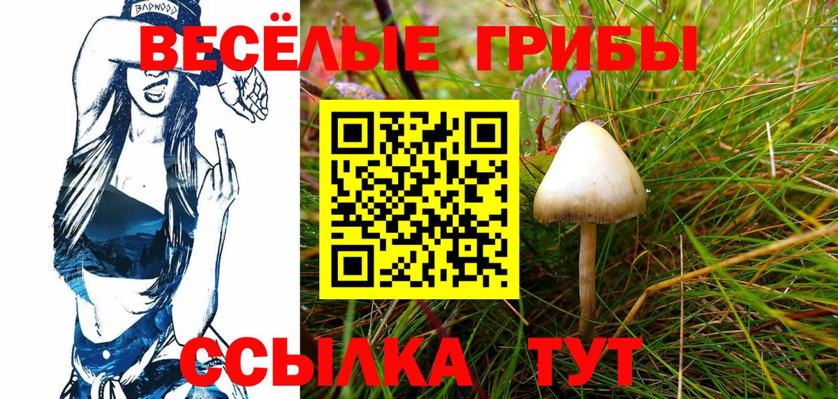 Псилоцибиновые грибы ЛСД  Вход с VPN  Коркино 